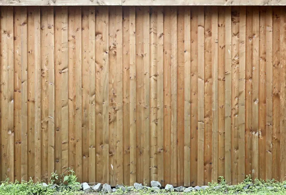 Timber paling fence